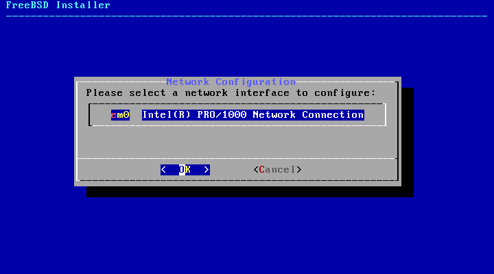 Choose a Network Interface